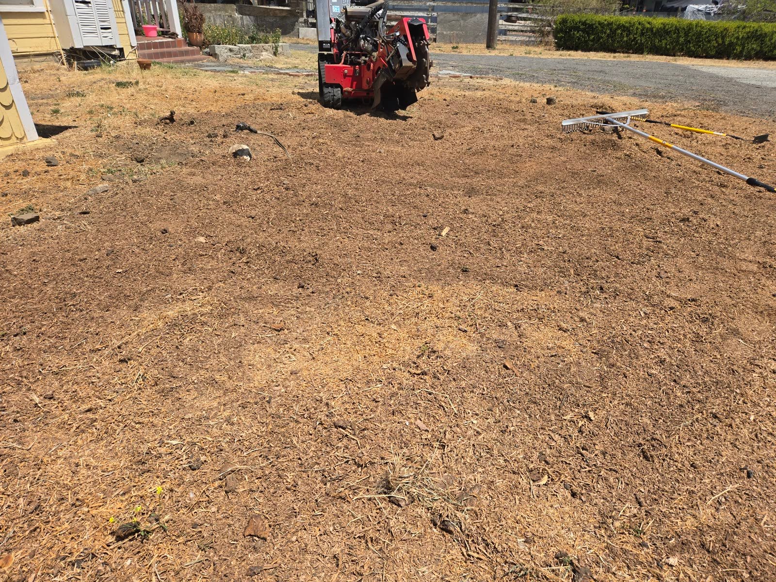 The cleared, raked ground where the five-foot oak stump stood.